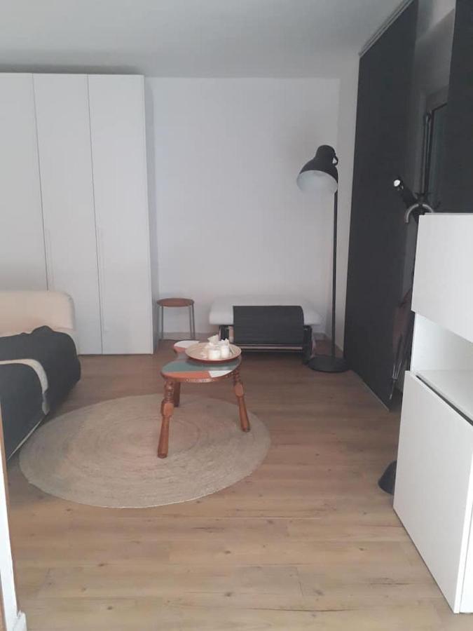 Monolocale Moderno. Recentemente Ristrutturato Apartment